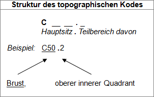 Erklärung der Struktur eines topografischen Kodes am Beispiel des Kodes C50.2 (oberer innerer Quadrant der Brust)