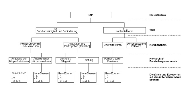 Die Abbildung zeigt die Struktur der ICF als Organigramm. Die ICF-Klassifikation gliedert sich von oben nach unten in die Teile, die Komponenten, die Konstrukte und Beurteilungsmerkmale und zuletzt in die Domänen und Kategorien auf den verschiedenen Ebenen auf. Erläuterungen zu den einzelnen Elementen sind im nächsten Kapitel ausführlich dargestellt.